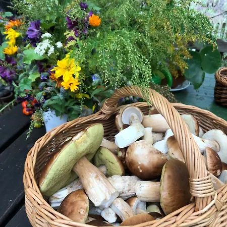 Scheunenherberge Schaefchenzaehlerei Отель типа 