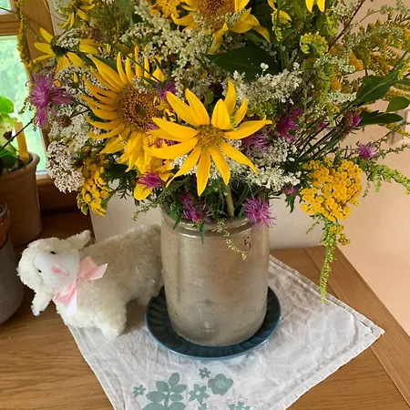 فندق مبيت وإفطار Scheunenherberge Schaefchenzaehlerei