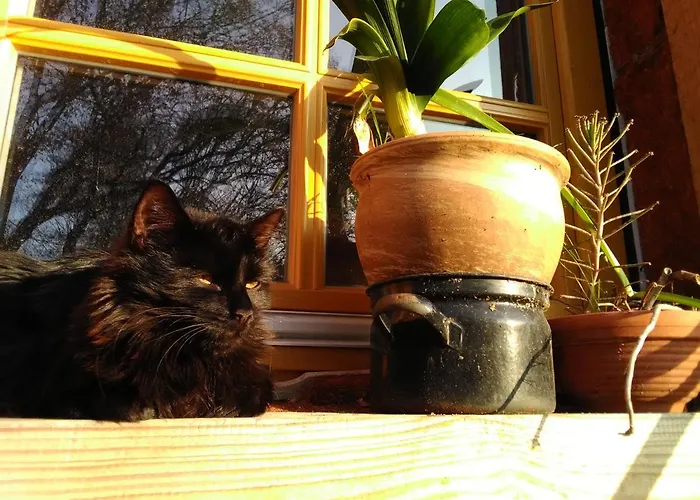 Scheunenherberge Schaefchenzaehlerei 3* Burg (Spreewald)