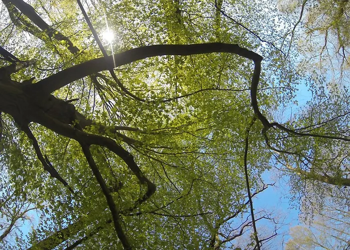 Bed & Breakfast Scheunenherberge Schaefchenzaehlerei 3*