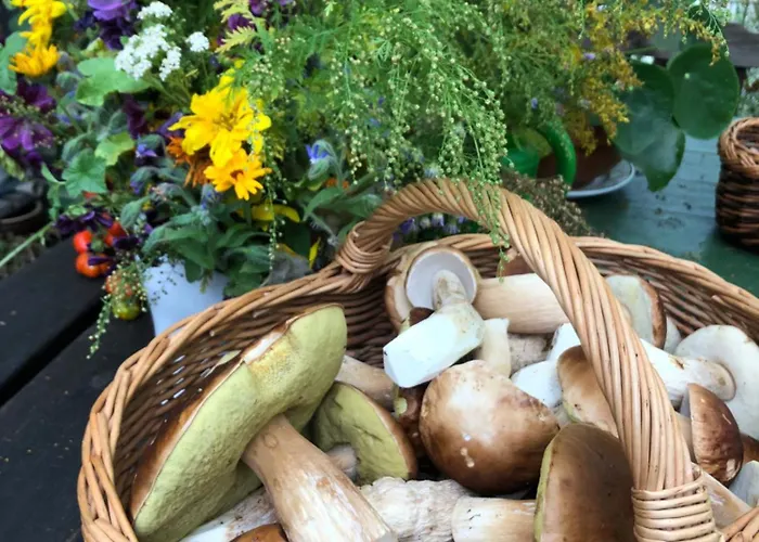 Scheunenherberge Schaefchenzaehlerei Bed & Breakfast