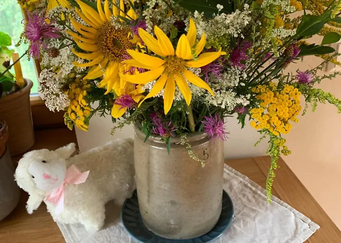 Bed & Breakfast Scheunenherberge Schaefchenzaehlerei